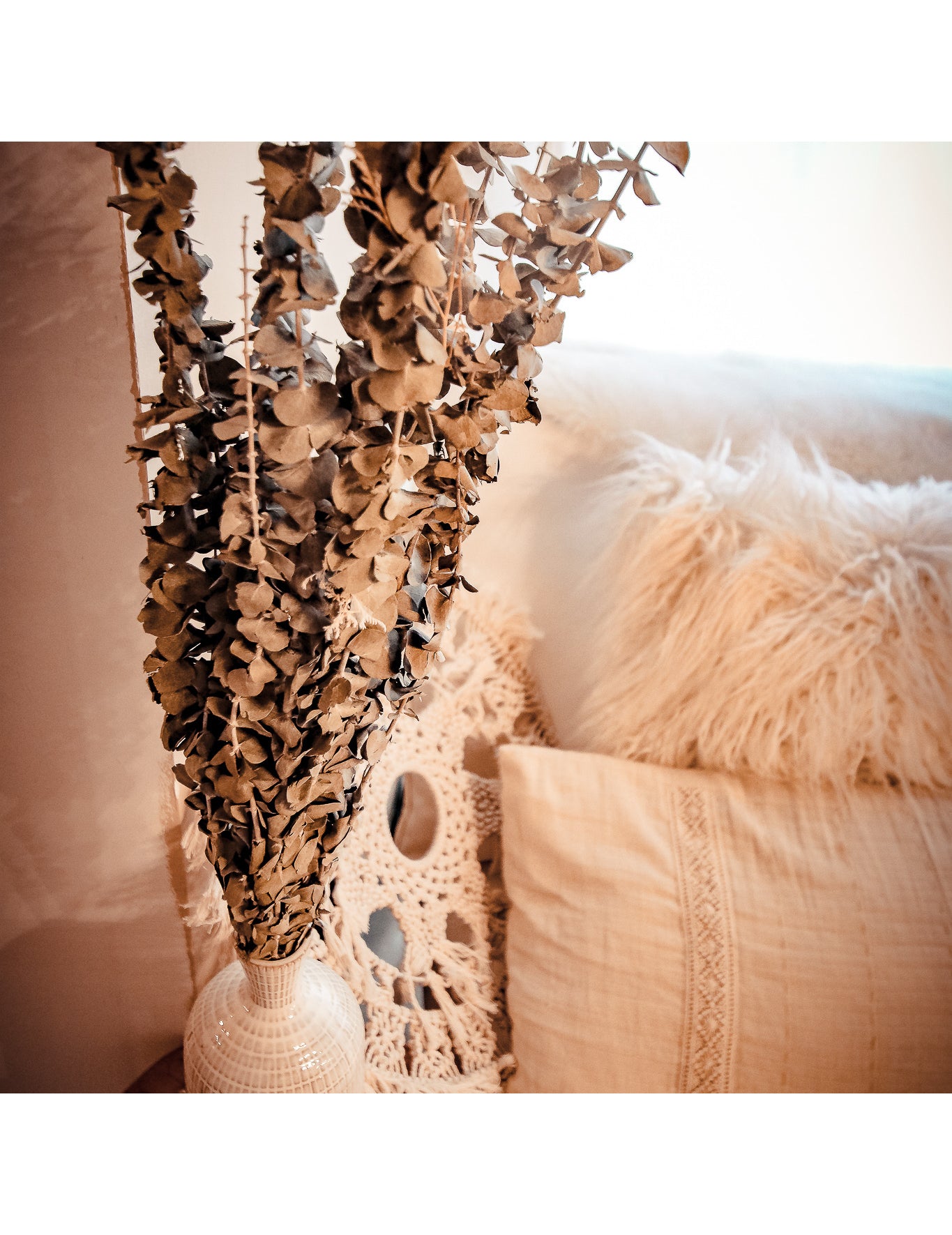 15 sušených větviček eukalyptu 150 g 66 cm