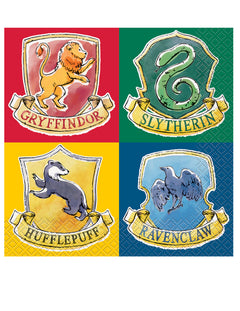 Jednorázové nádobí Harry Potter