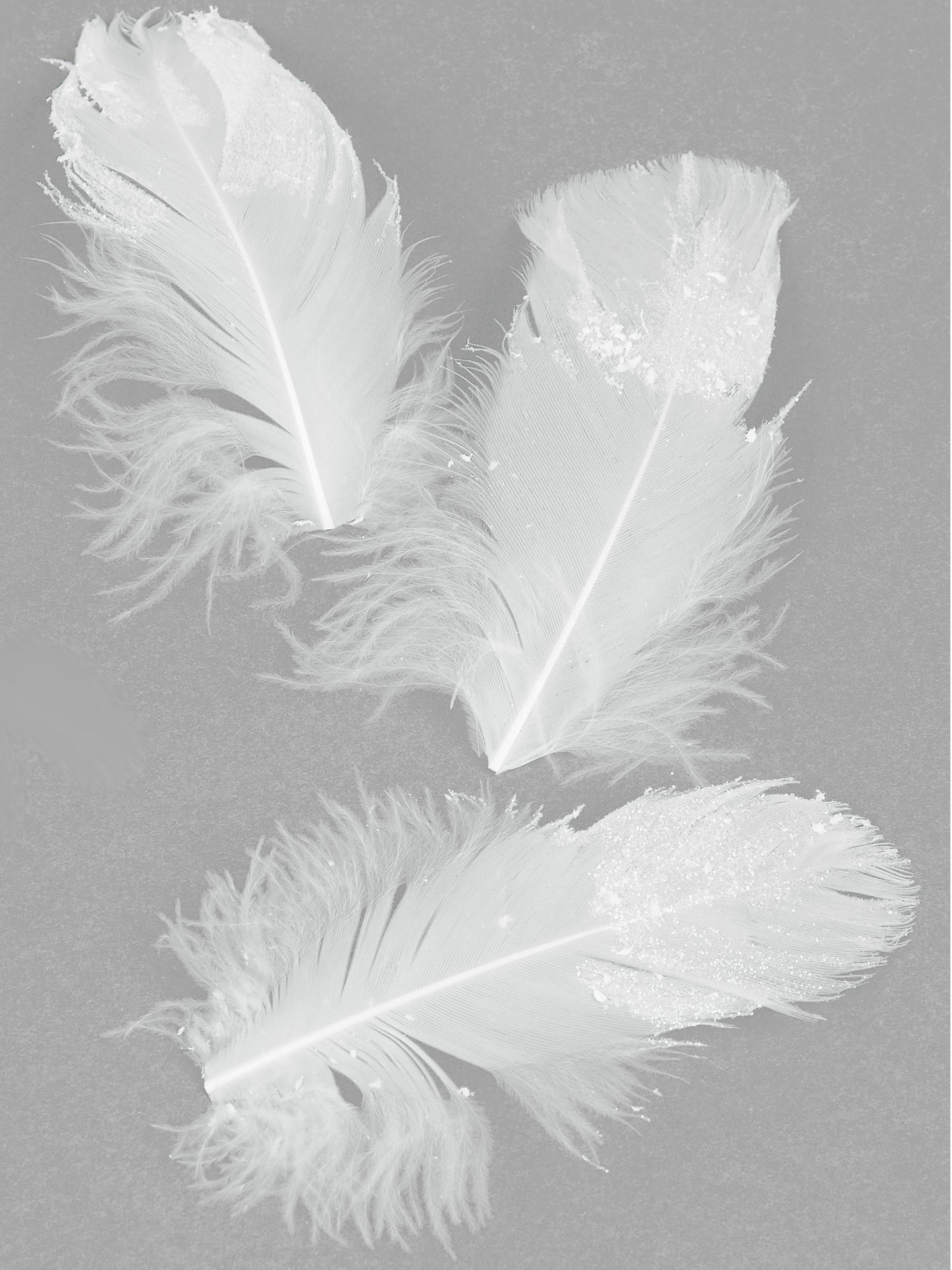 20 Bílé třpytivé peří 9 cm