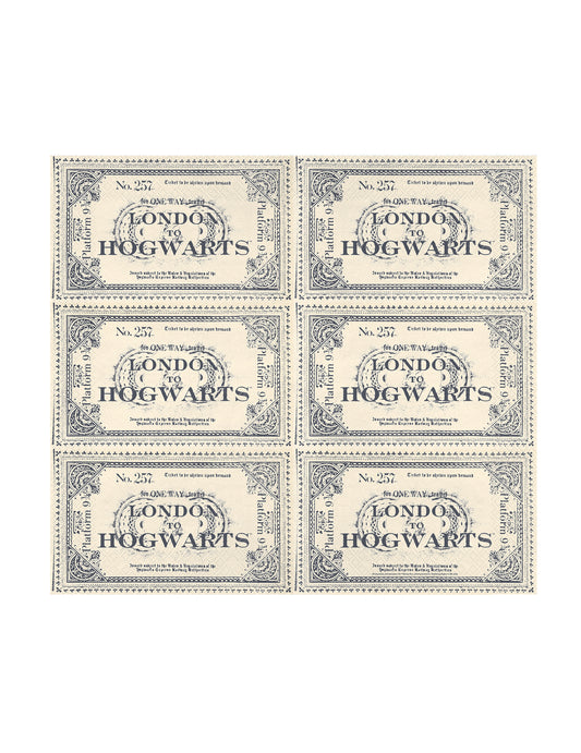 20 Ubrousků Harry Potter™ Jízdenka Londýn do Bradavic 33 x 40 cm