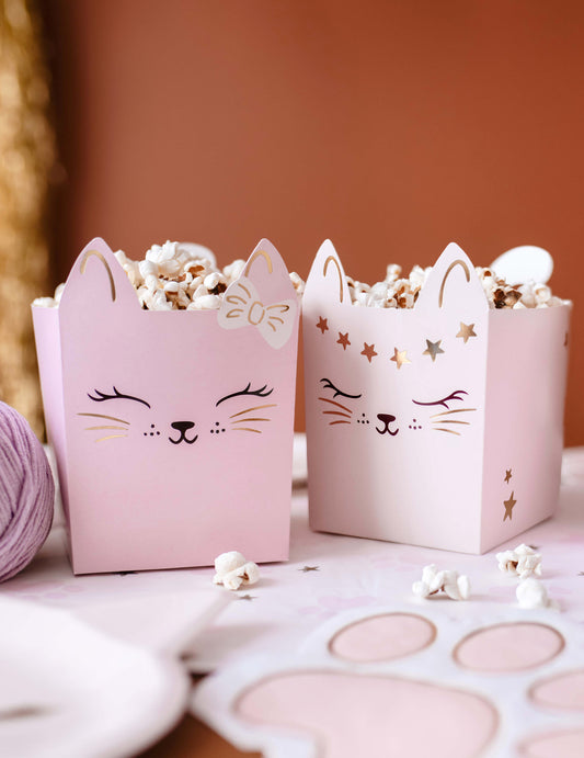 Vue rapprochée des boîtes pour snack chatons
