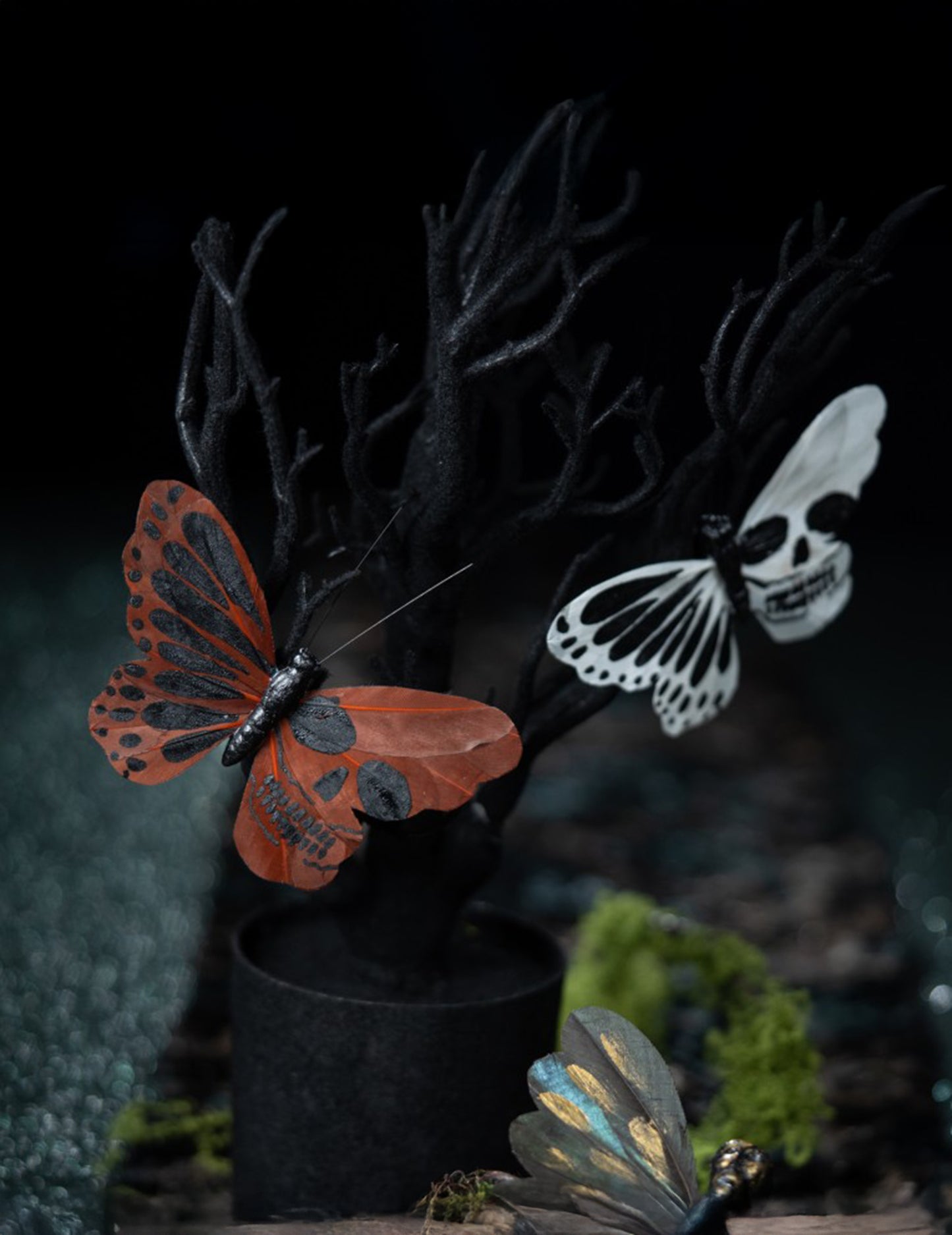 4 Papillons tête de mort 13 x 10 cm