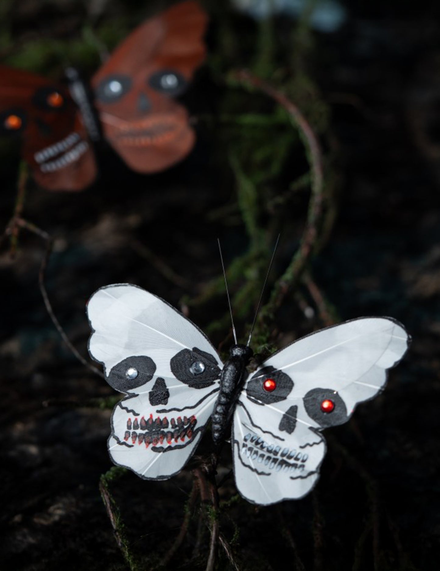 4 Papillons tête de mort 13 x 10 cm