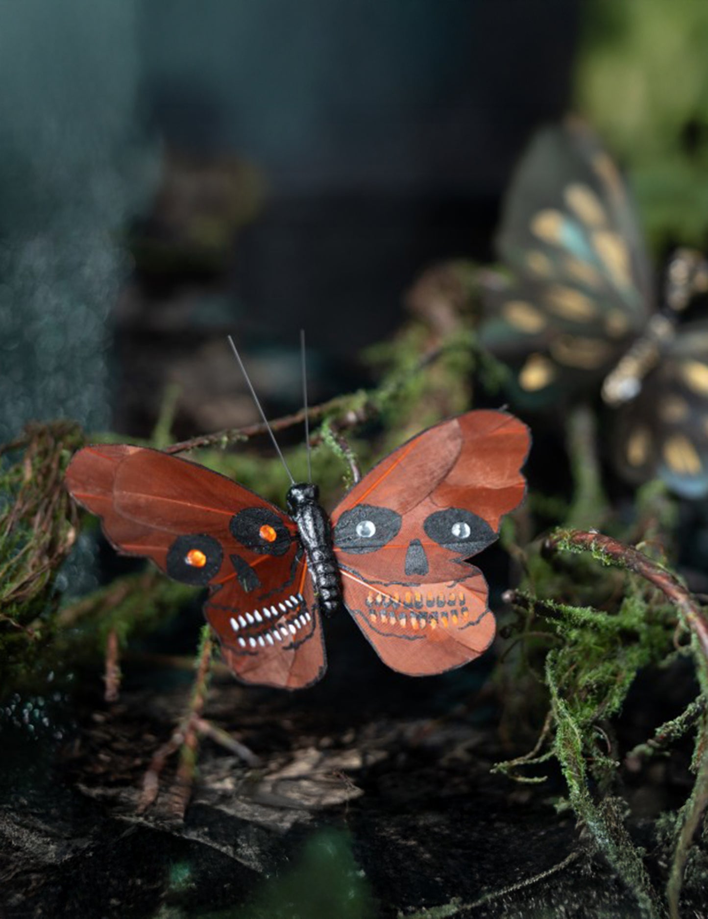 4 Papillons tête de mort 13 x 10 cm