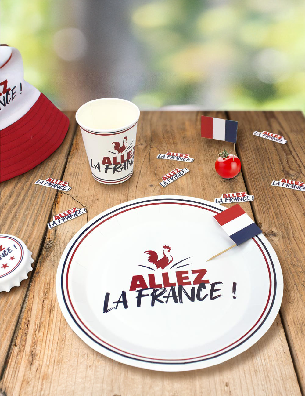 6 papírových talířů "Allez la France" 23 cm