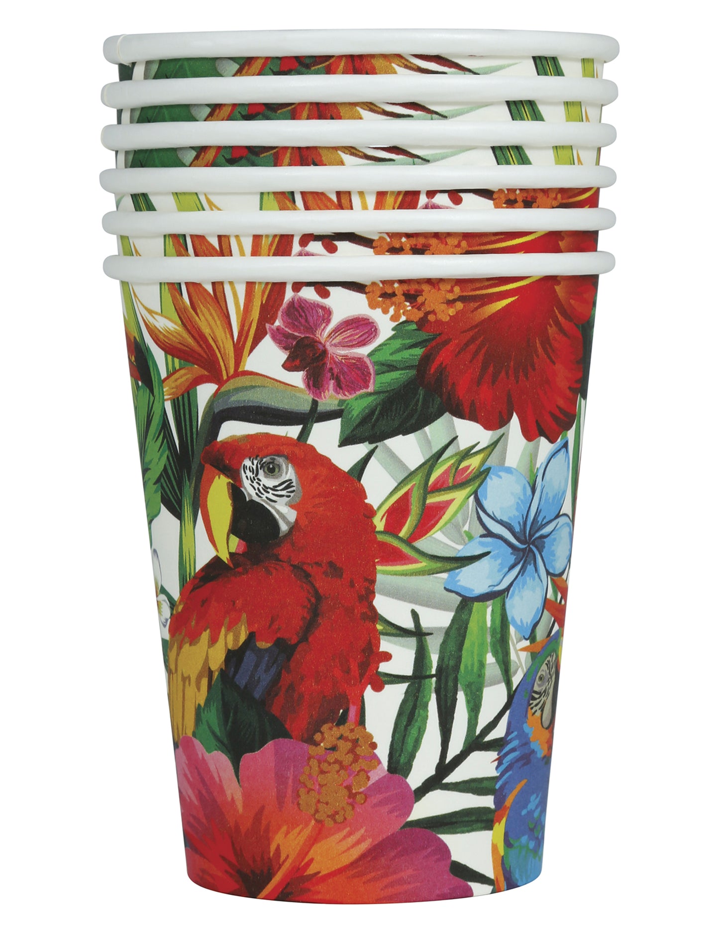 6 Gobelets oiseaux tropicaux 240 ml