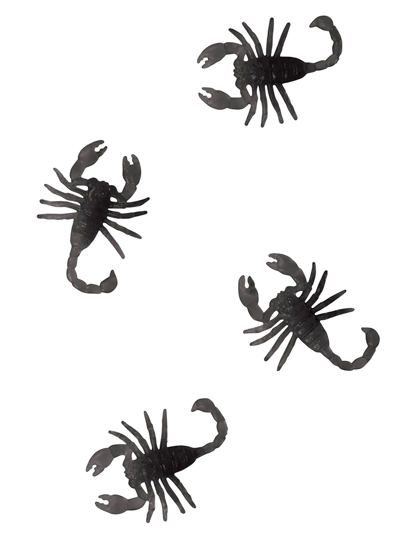 Vue d'ensemble de plusieurs scorpions du lot de 8 scorpions pour Halloween