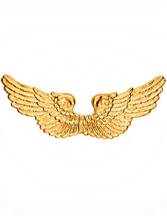 Goldene Flügel