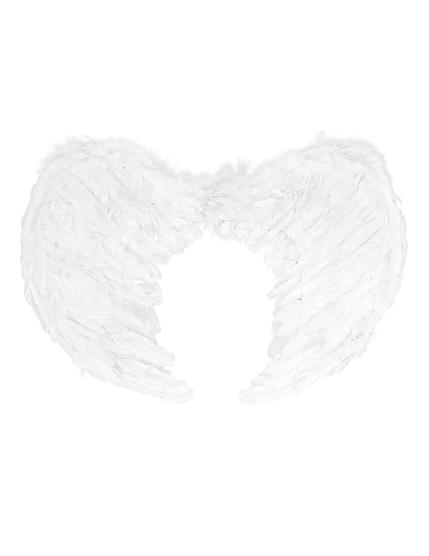 Ailes d'anges blanches 60 x 40 cm