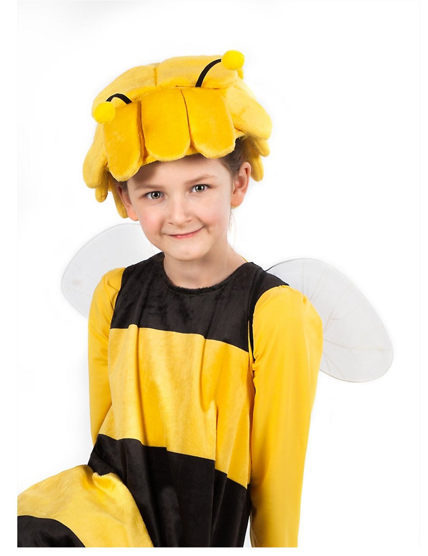 Mayan Wings the Bee Children
