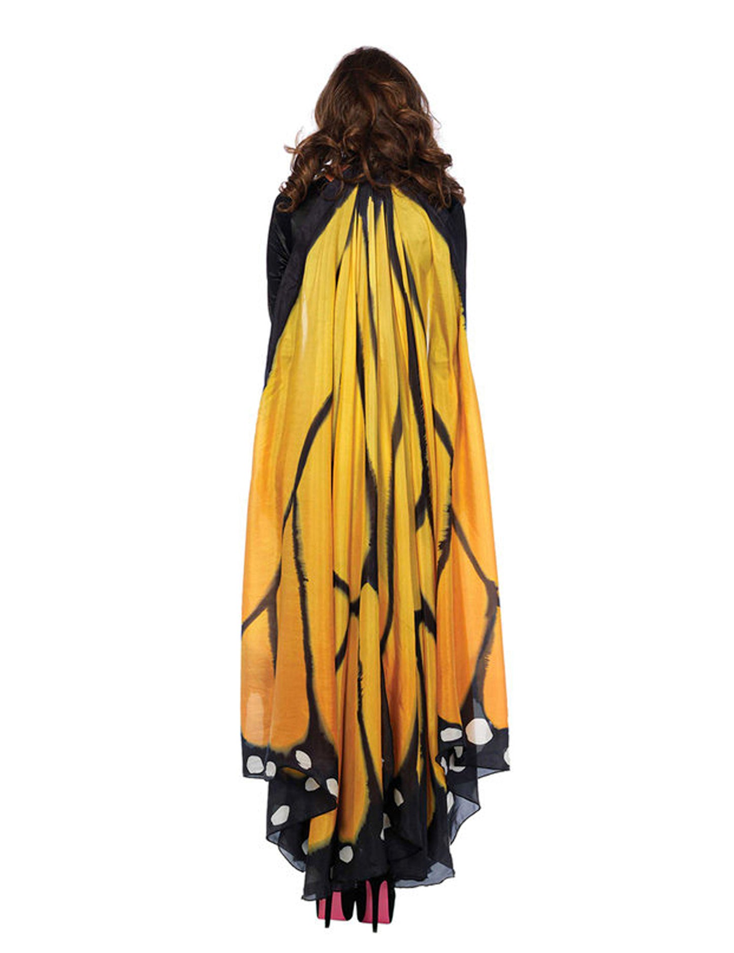 Obří křídla dospělého motýla