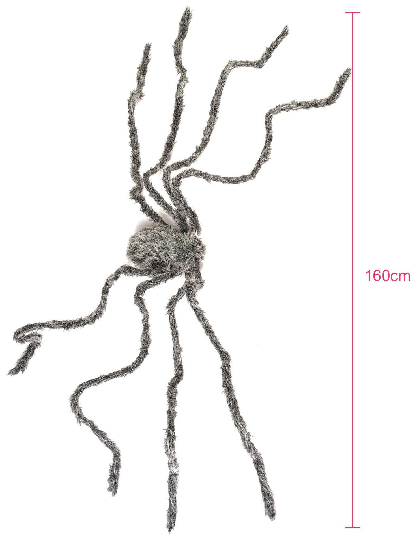 Détail des dimensions de l'araignée géante Halloween
