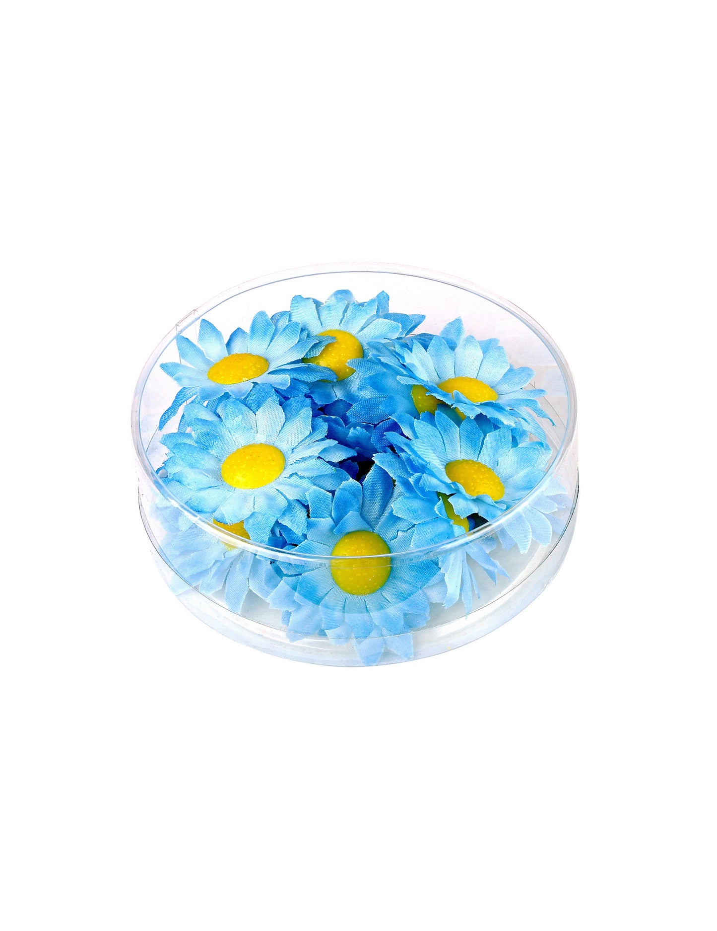 Boite de 20 fleurs marguerite bleu