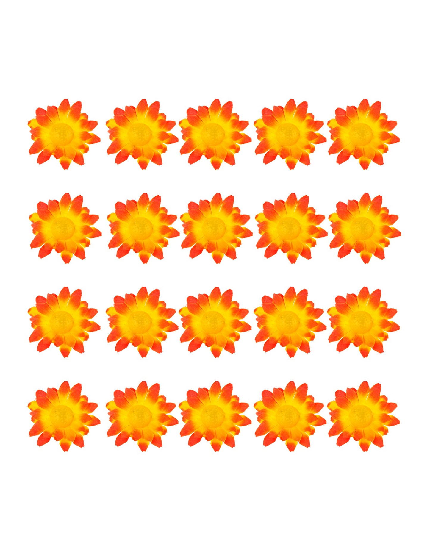 Boite de 20 fleurs marguerite jaune orangé