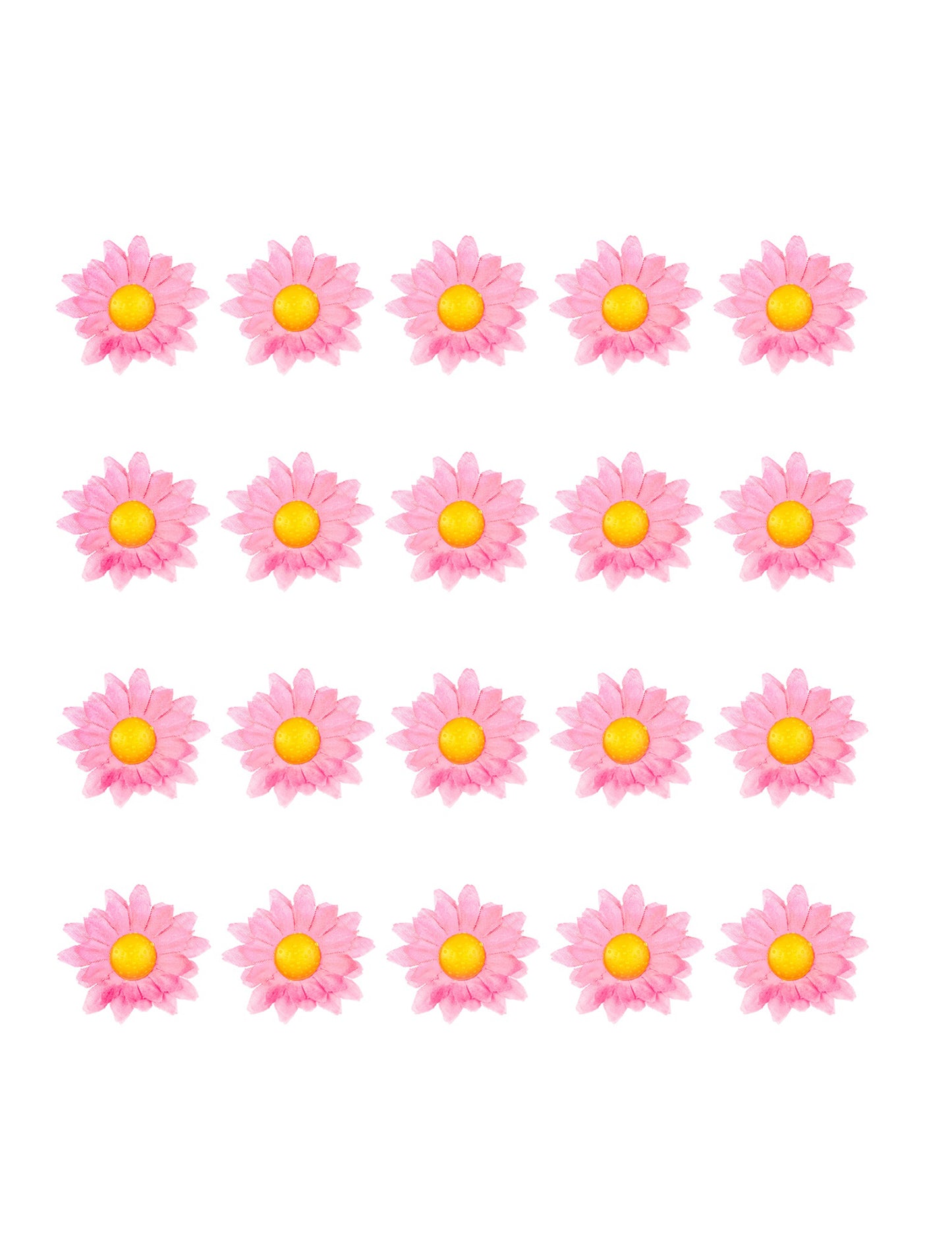 Boite de 20 fleurs marguerite rose clair