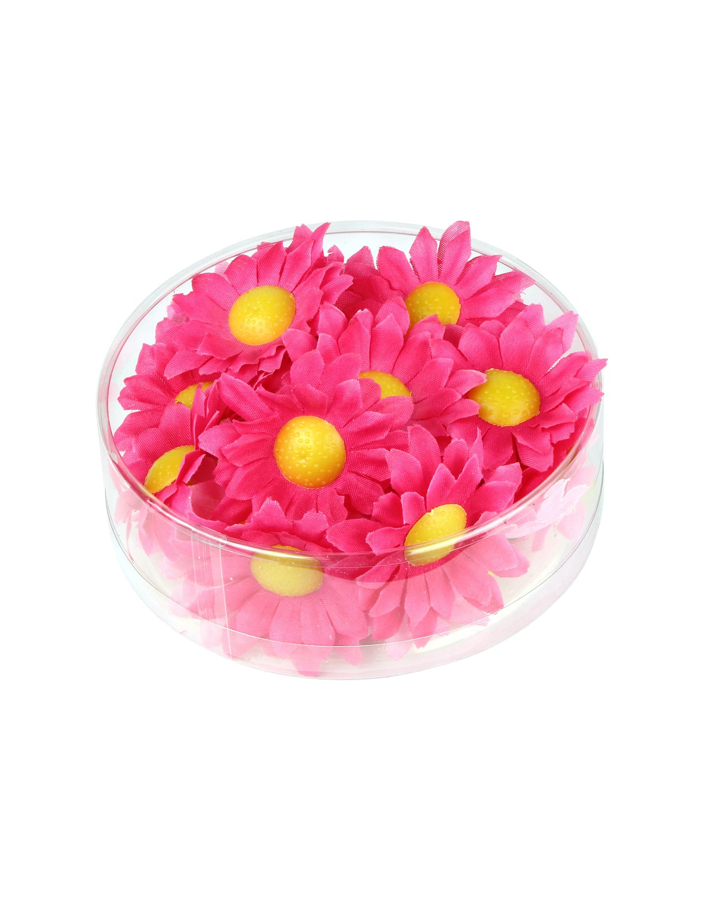 Boite de 20 fleurs marguerite rose