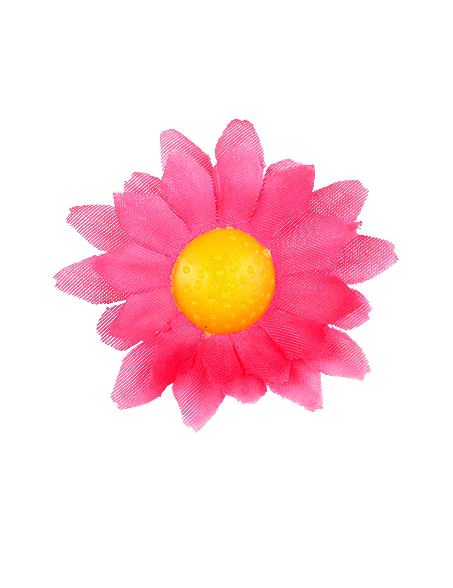 Boite de 20 fleurs marguerite rose