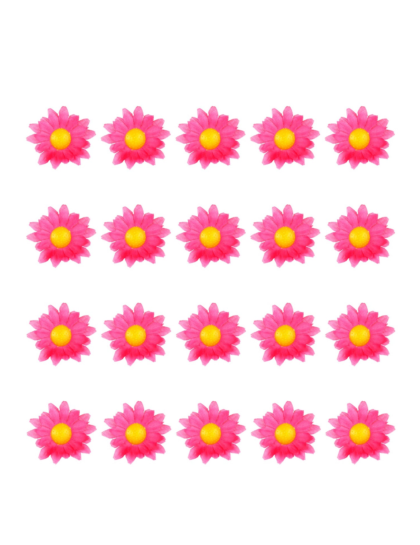 Boite de 20 fleurs marguerite rose