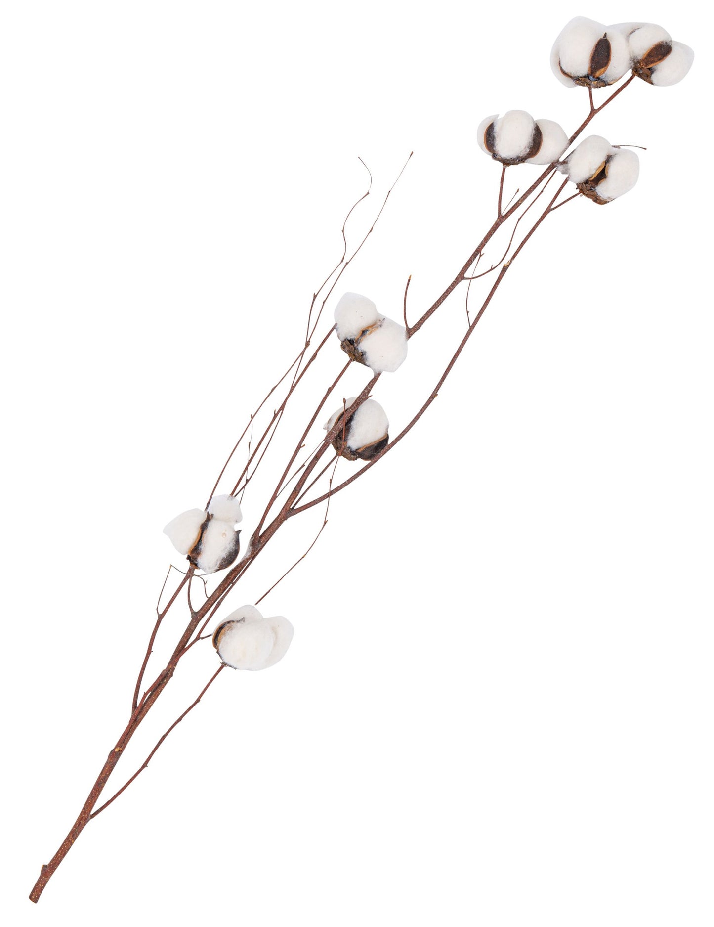 Dekorativní větev bílých bavlníkových květů 80 cm
