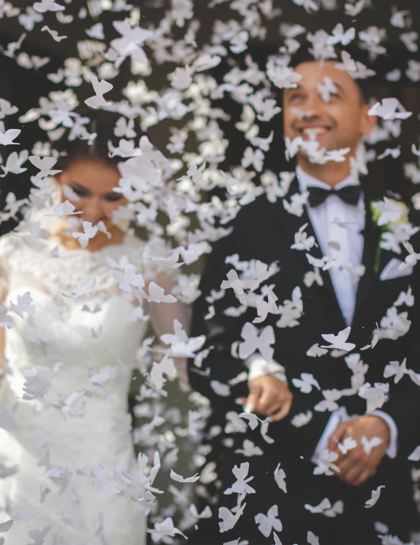 Effet de pluie de confettis du canon à confettis papillons blancs