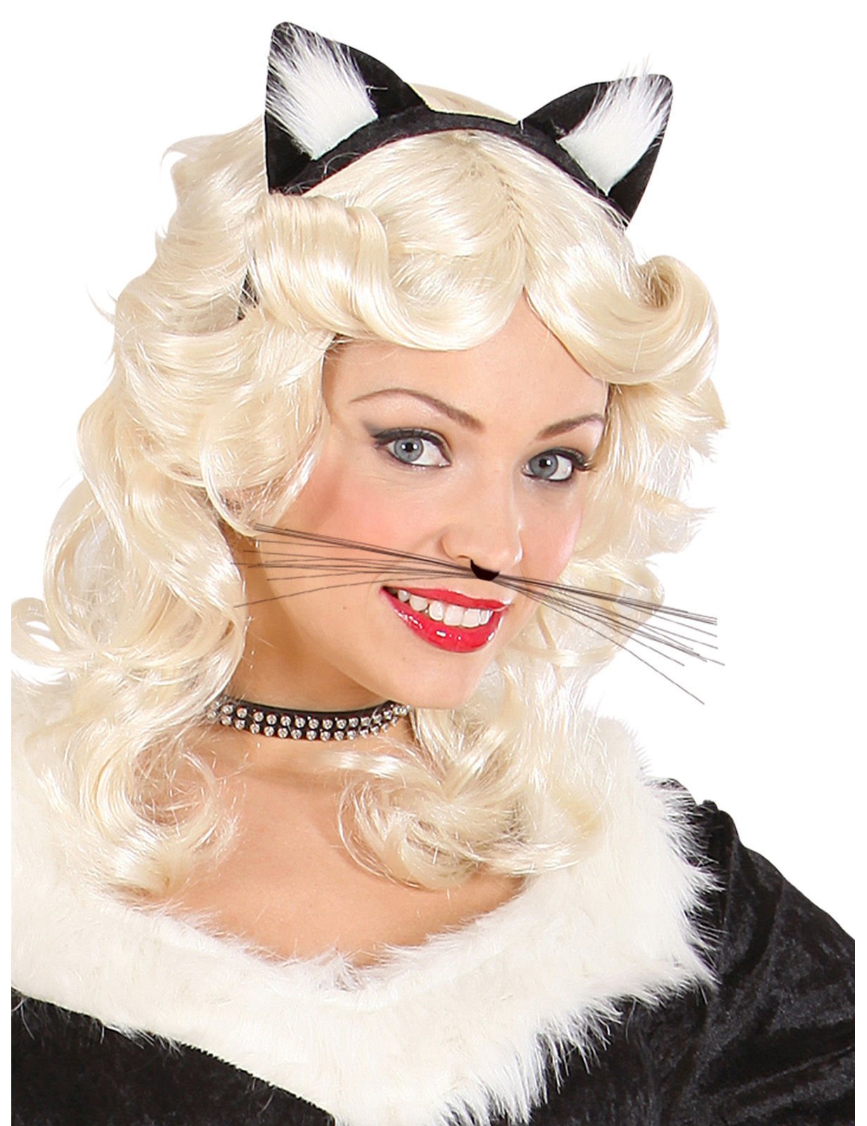 Knír dospělé černé kočky