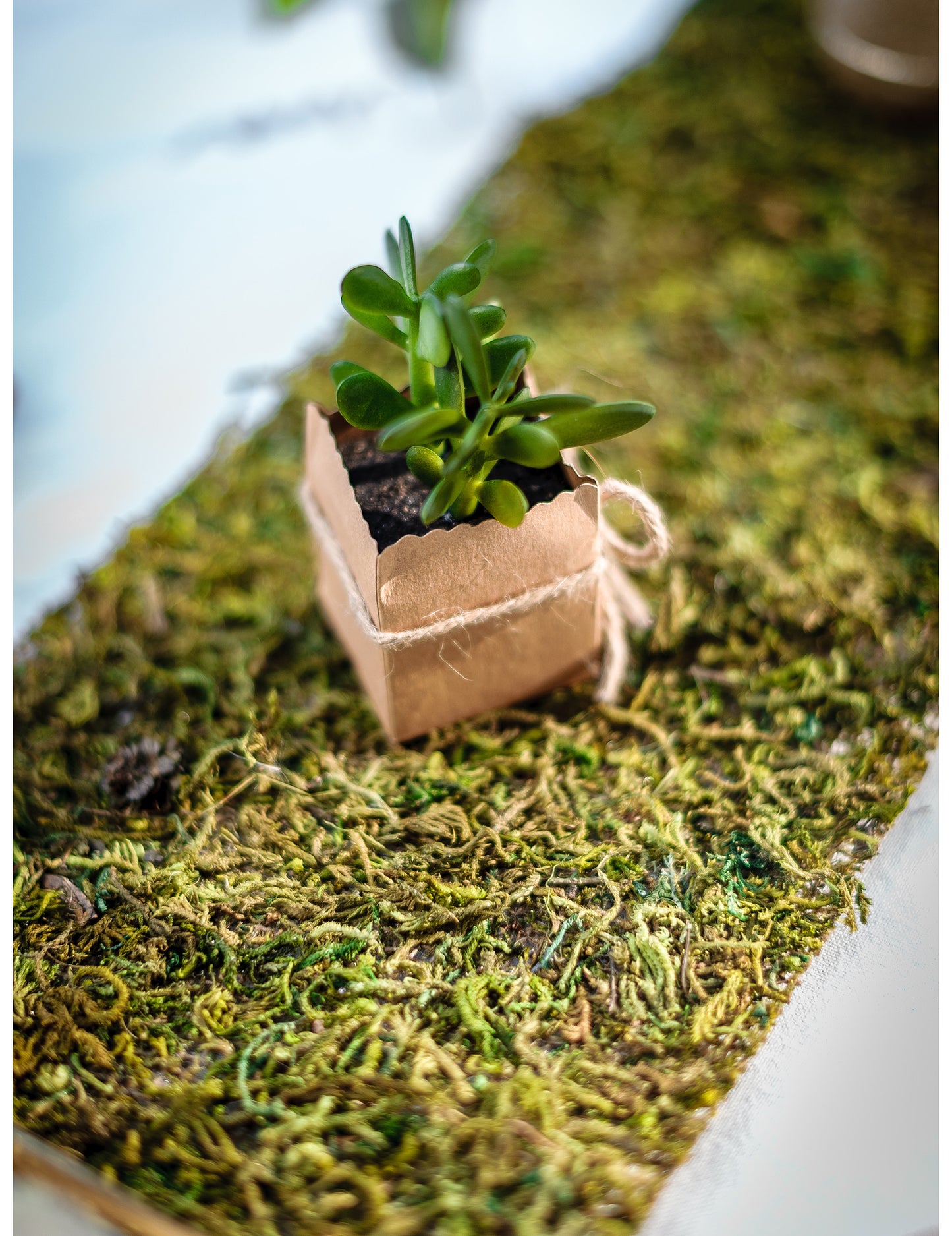 Bílý látkový běhoun s mechem 20 cm x 2 m