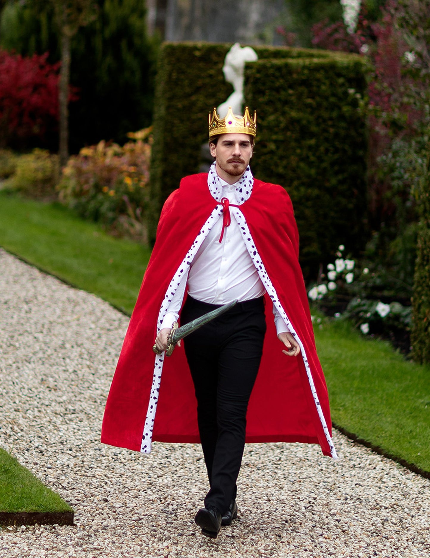 Koruna dospělého krále