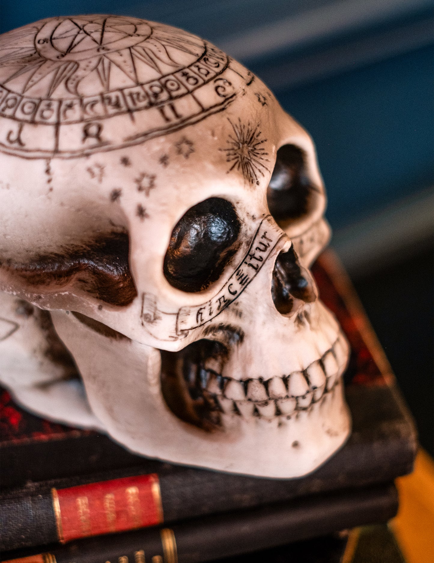 Lebka kostry s pentagramem 18 x 12 x 15 cm