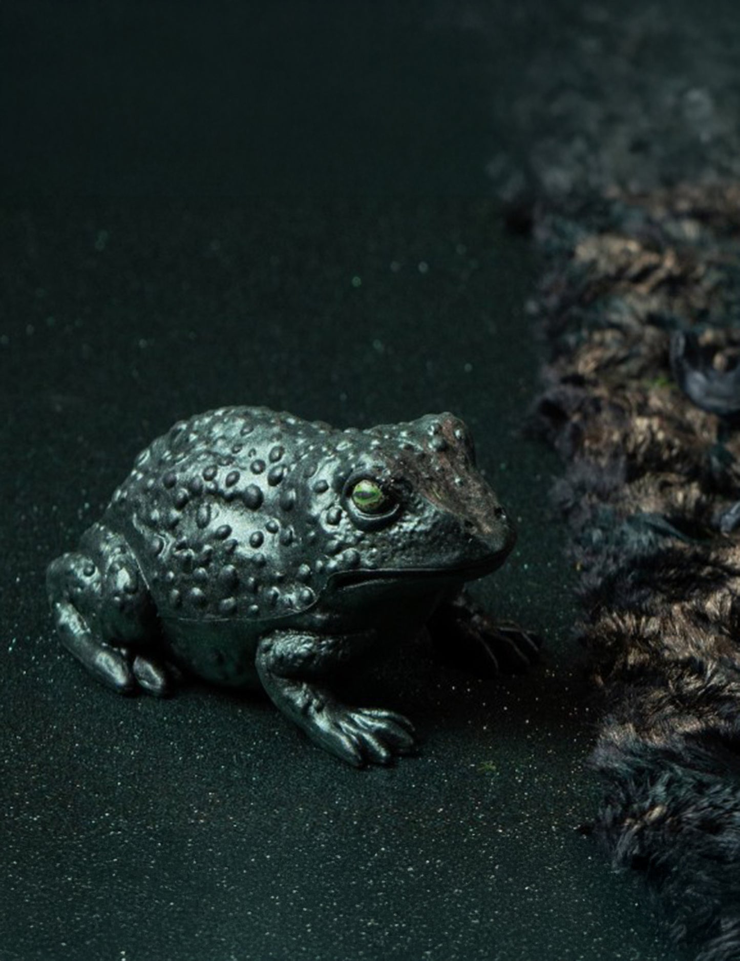 Iridescent Green Plastic Toad 12.5 cm