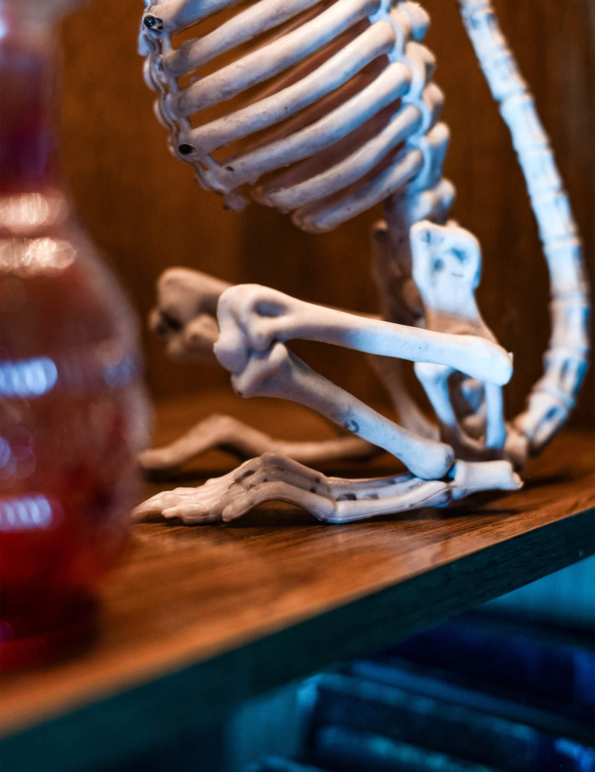 Detail na hrudní koš a nohy dekorace kostra krysy halloween