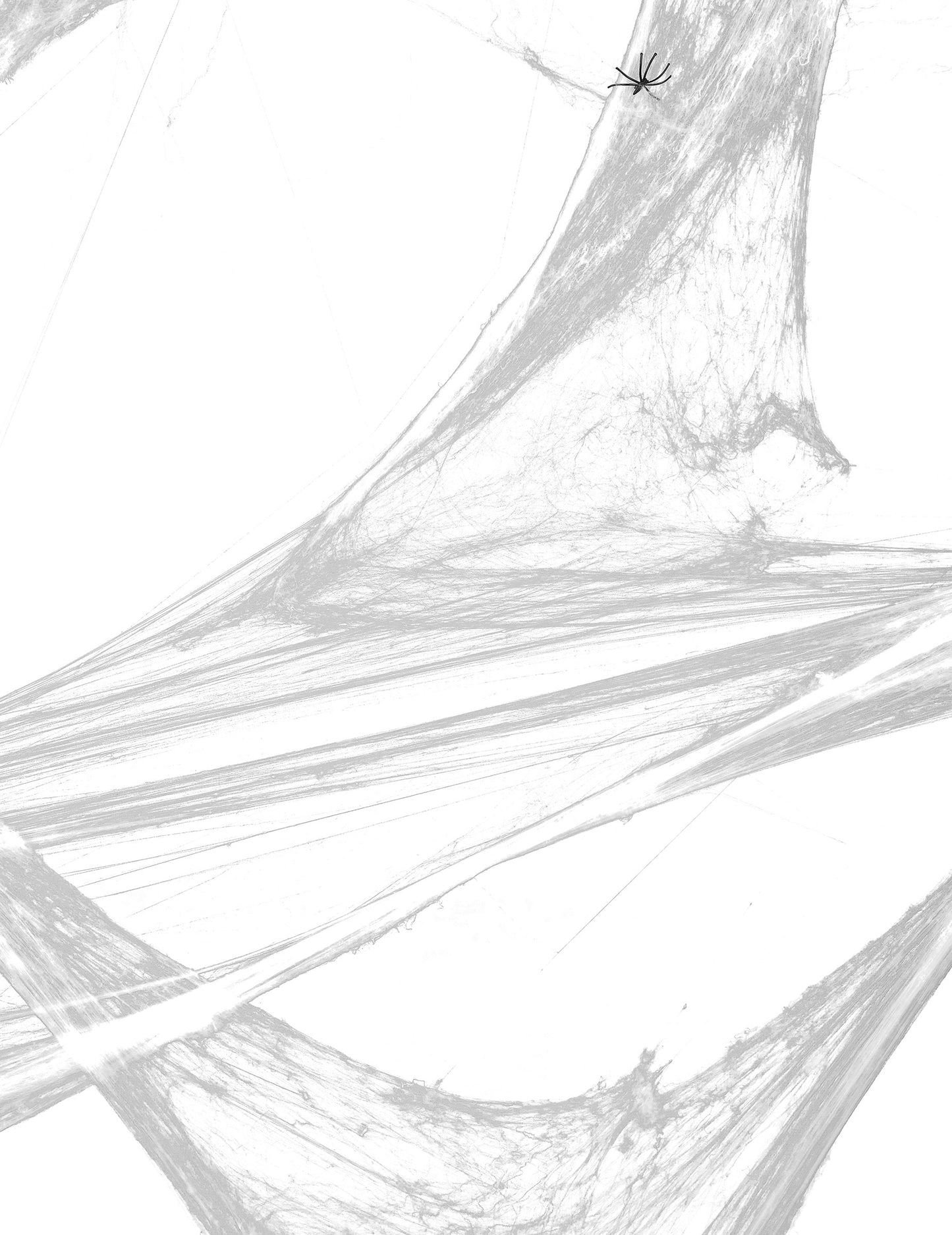 Detail černého pavouka na natažené pavučinové dekoraci na Halloween