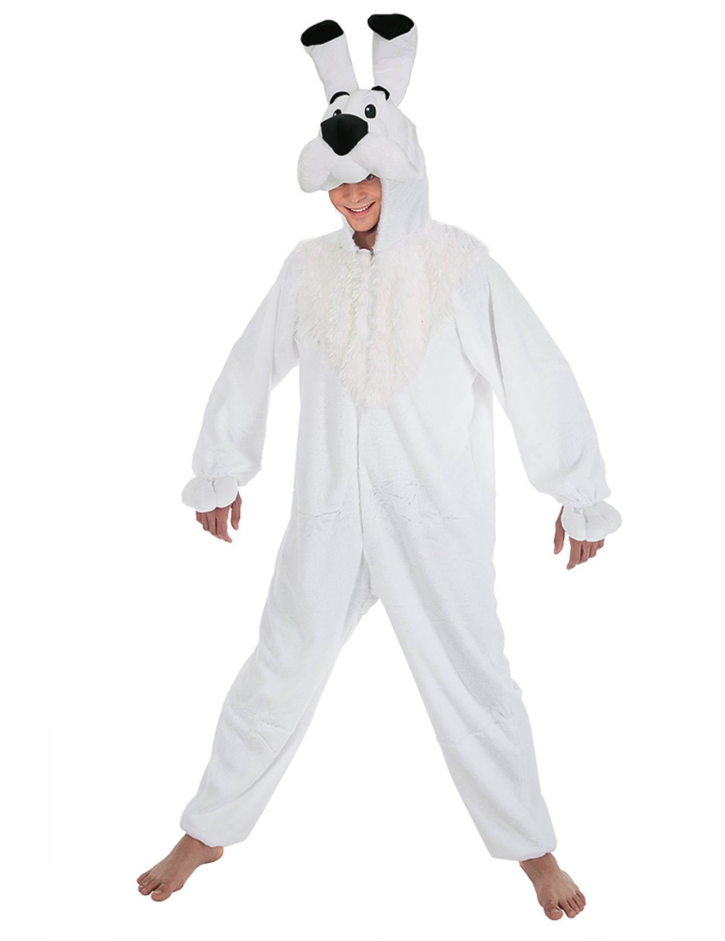 Idefix Asterix a Adult Obelix Costume