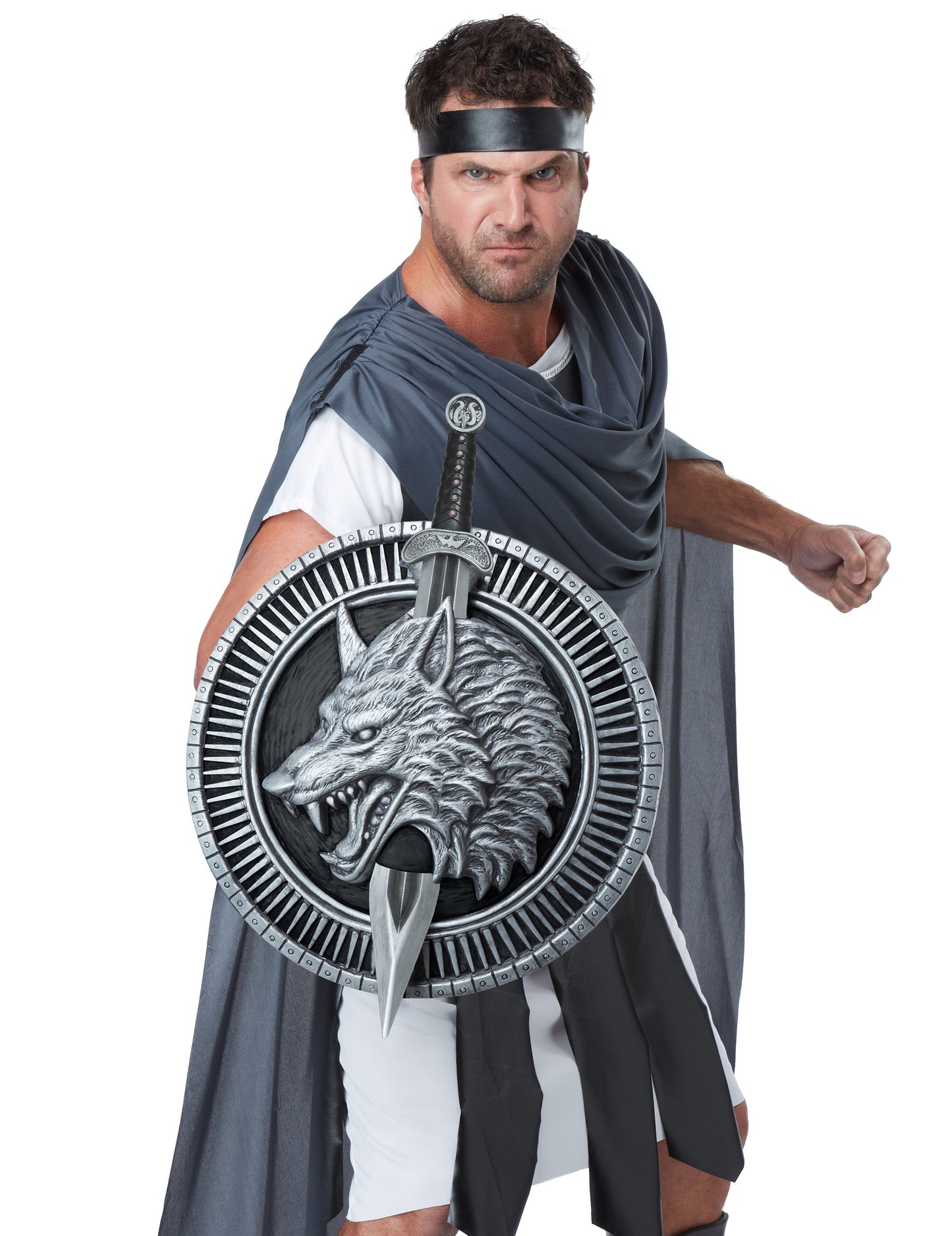 Dospělý vlk bojovník meč a štít