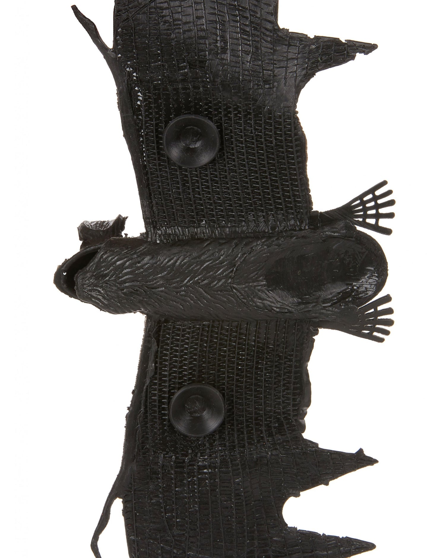 Détail des ventouses de fixation de la chauve-souris à suspendre Halloween