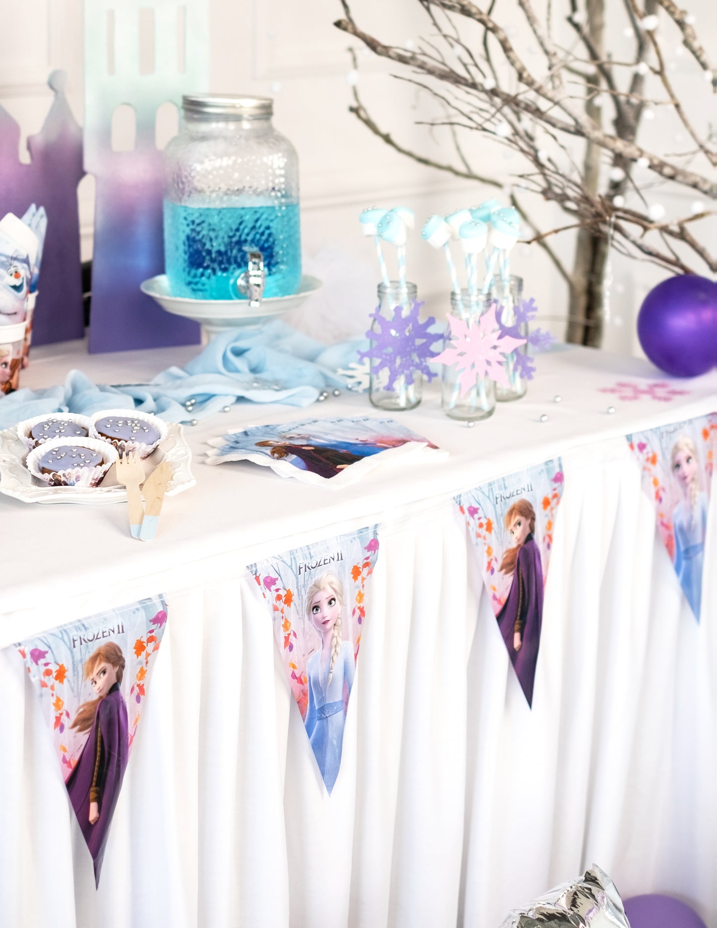 Girlanda s vlajkou Ledové království 2 230 x 25 cm