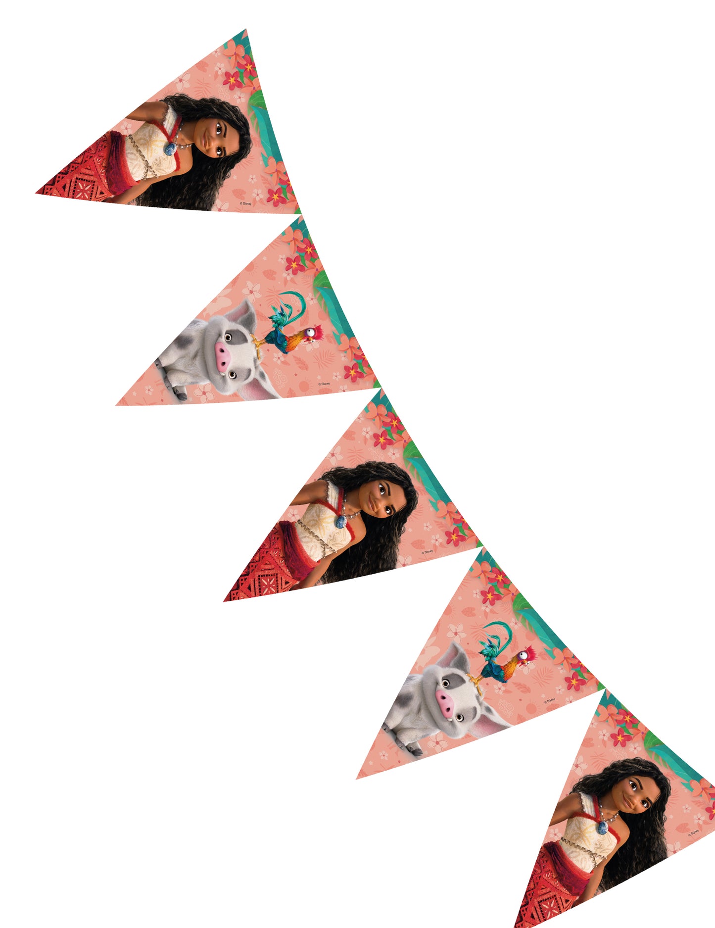 Vaiana 2 Pennant Girlanda