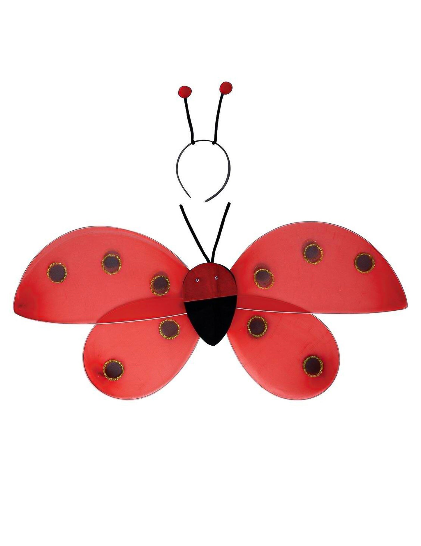 Kit accessoires coccinelle adulte