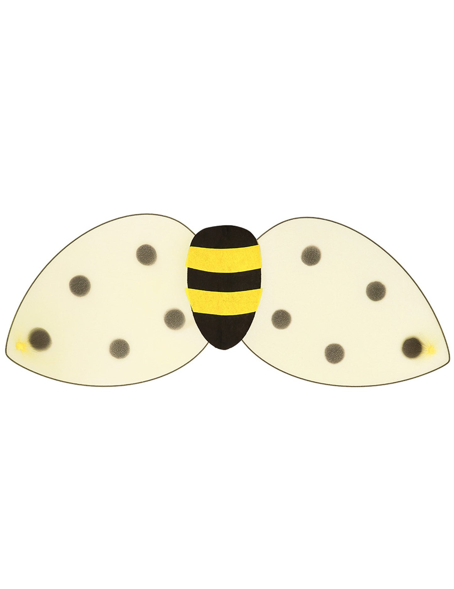 Detail křídel z sady křídel a čelenky včely