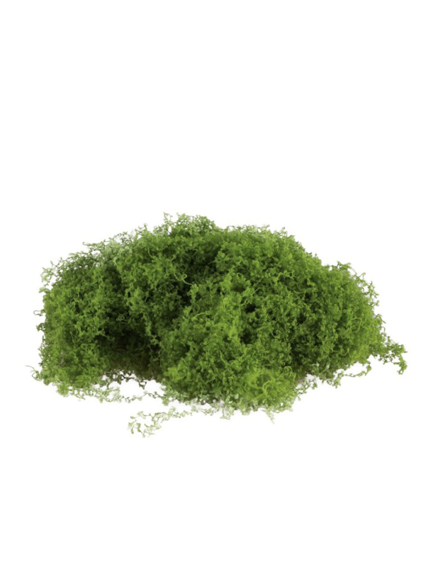 Mousse verte extensible 100 g