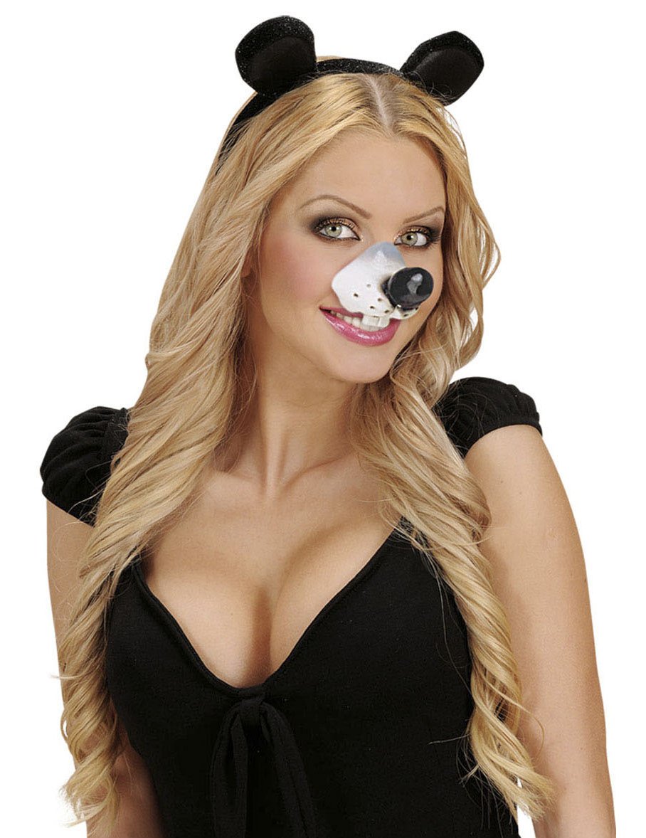 Pohled zepředu na nos myši