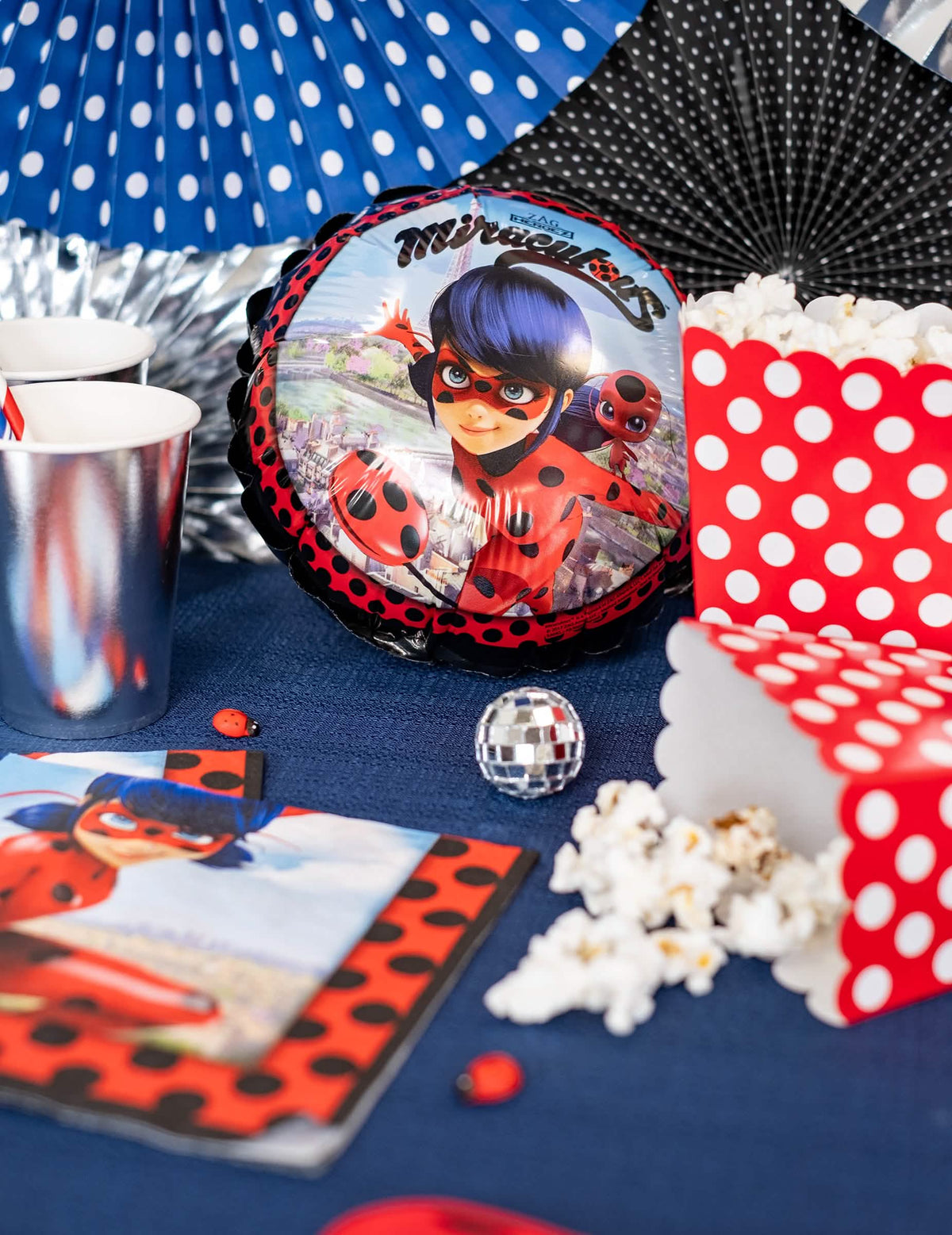 Narozeninová výzdoba z hliníkových balónků Ladybug