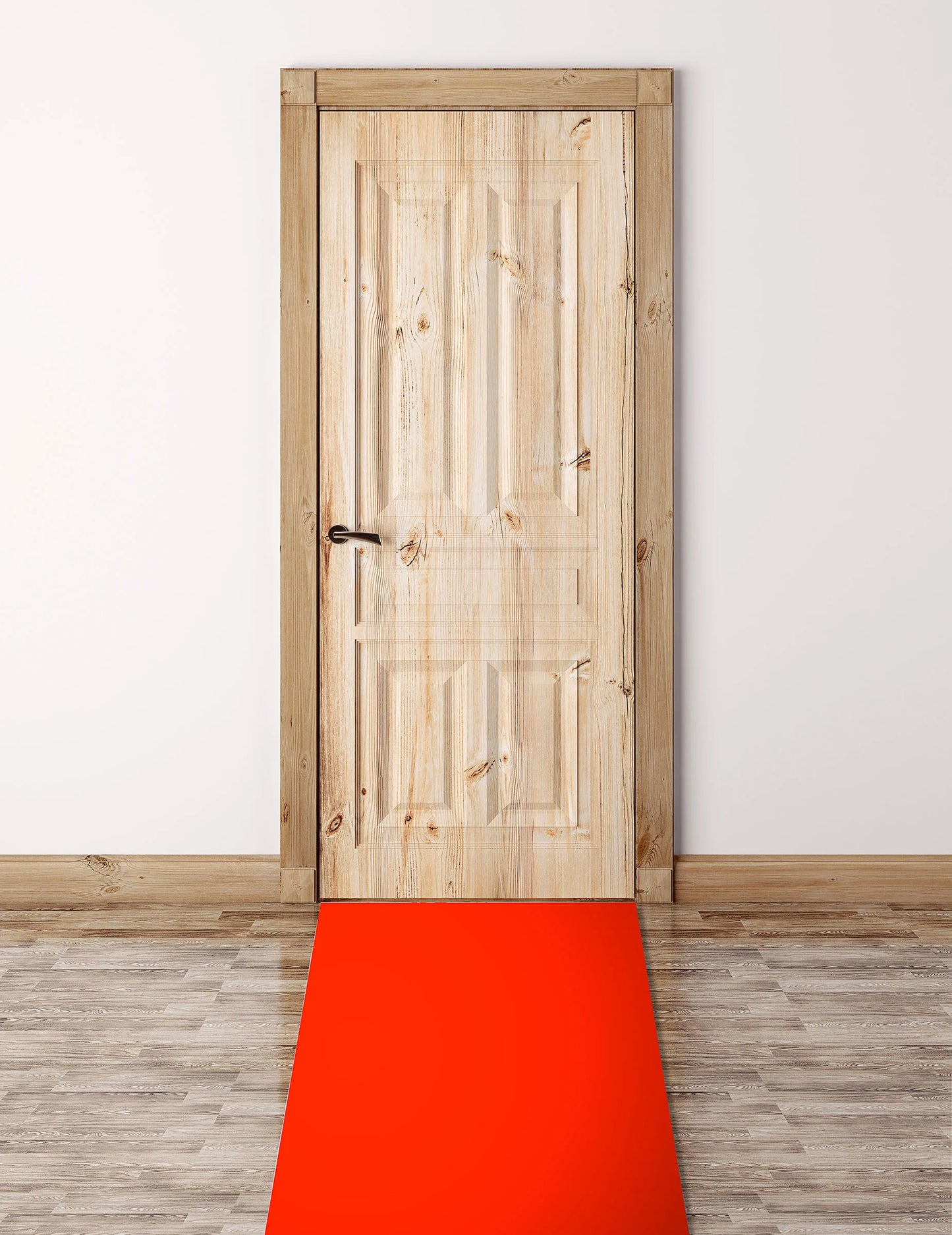 Mise en situation devant une porte du tapis rouge VIP pour fête
