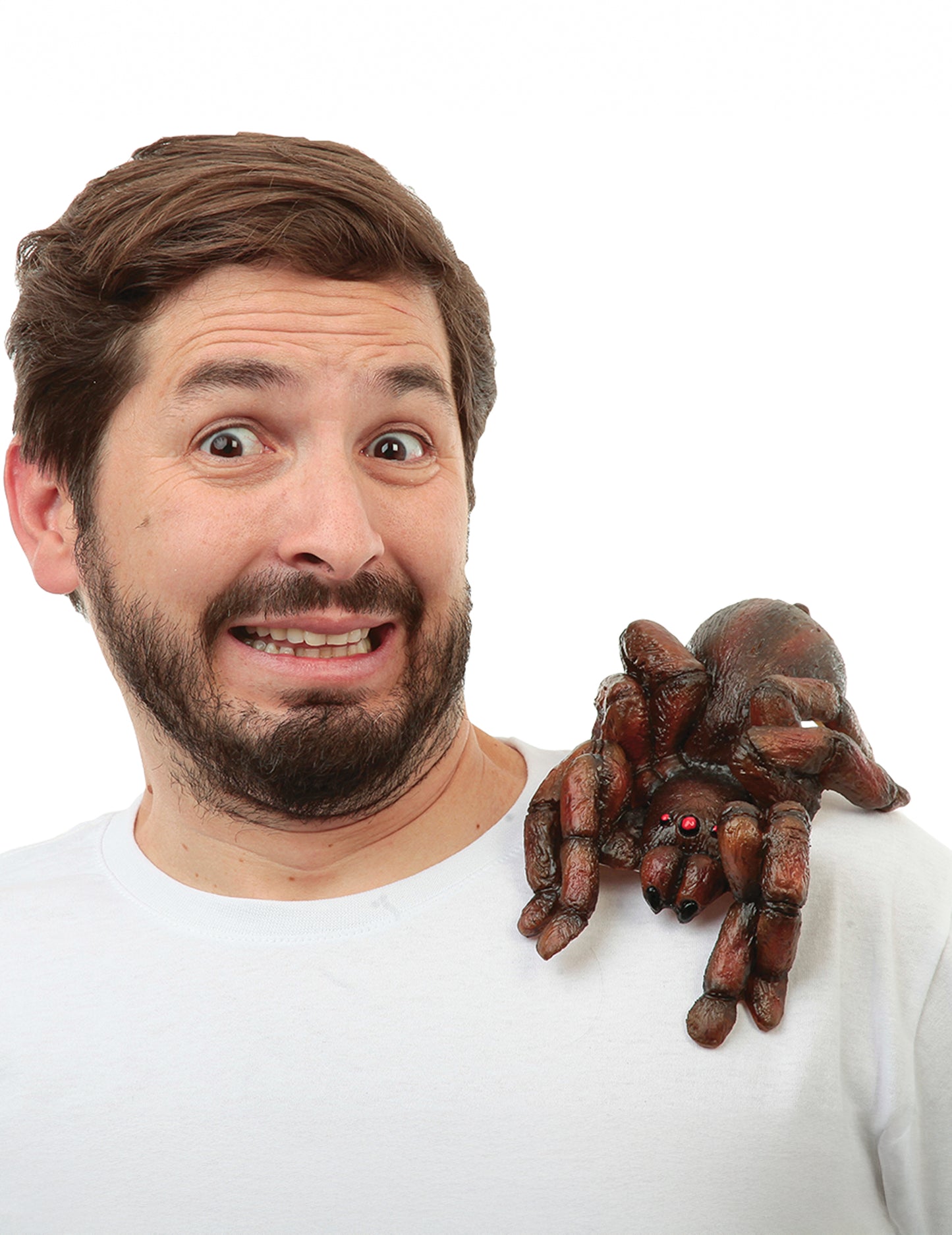 Dospělá tarantule na rameni