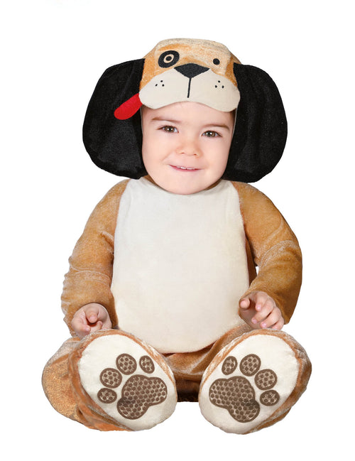 Psí kostýmy