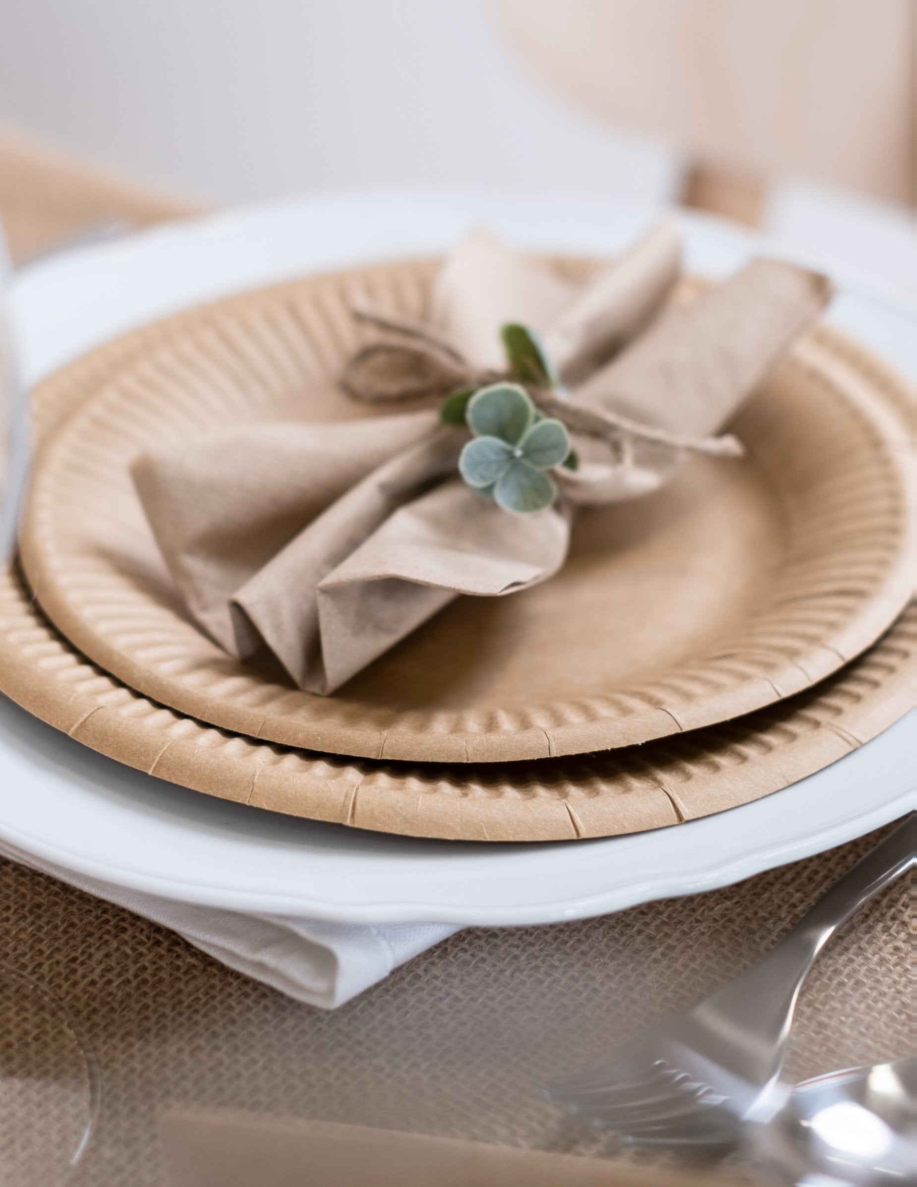 Mise en situation sur table des assiettes en carton kraft pour fête