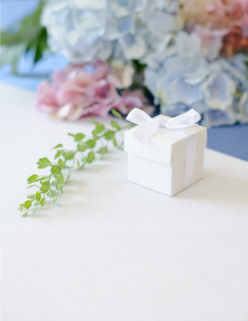 10 bílých kartonových krabic se stuhou 5,2 x 5,2 cm