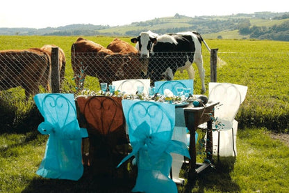 10 prémiových potahů na židle čokoládová 50 x 95 cm 