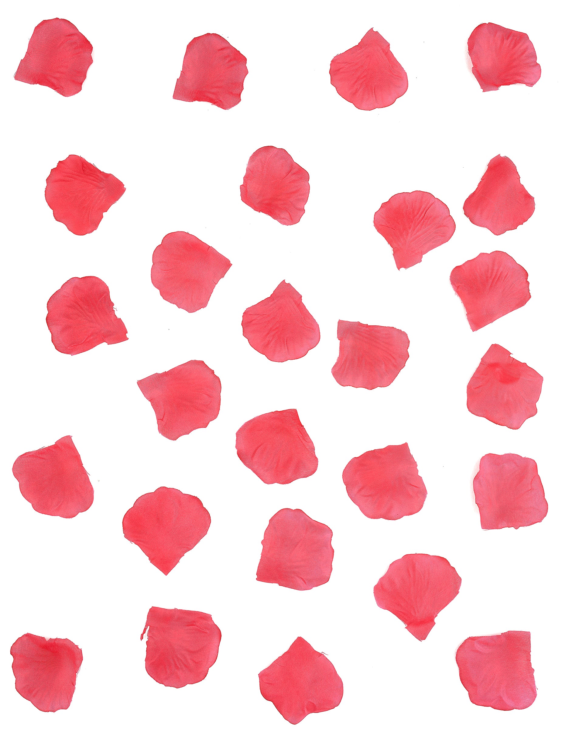 Détail de la texture du 100 pétales de rose mariage