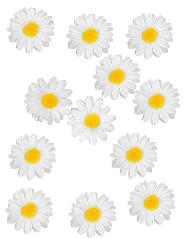 12 stolních dekorací se sedmikráskami 3.5 cm