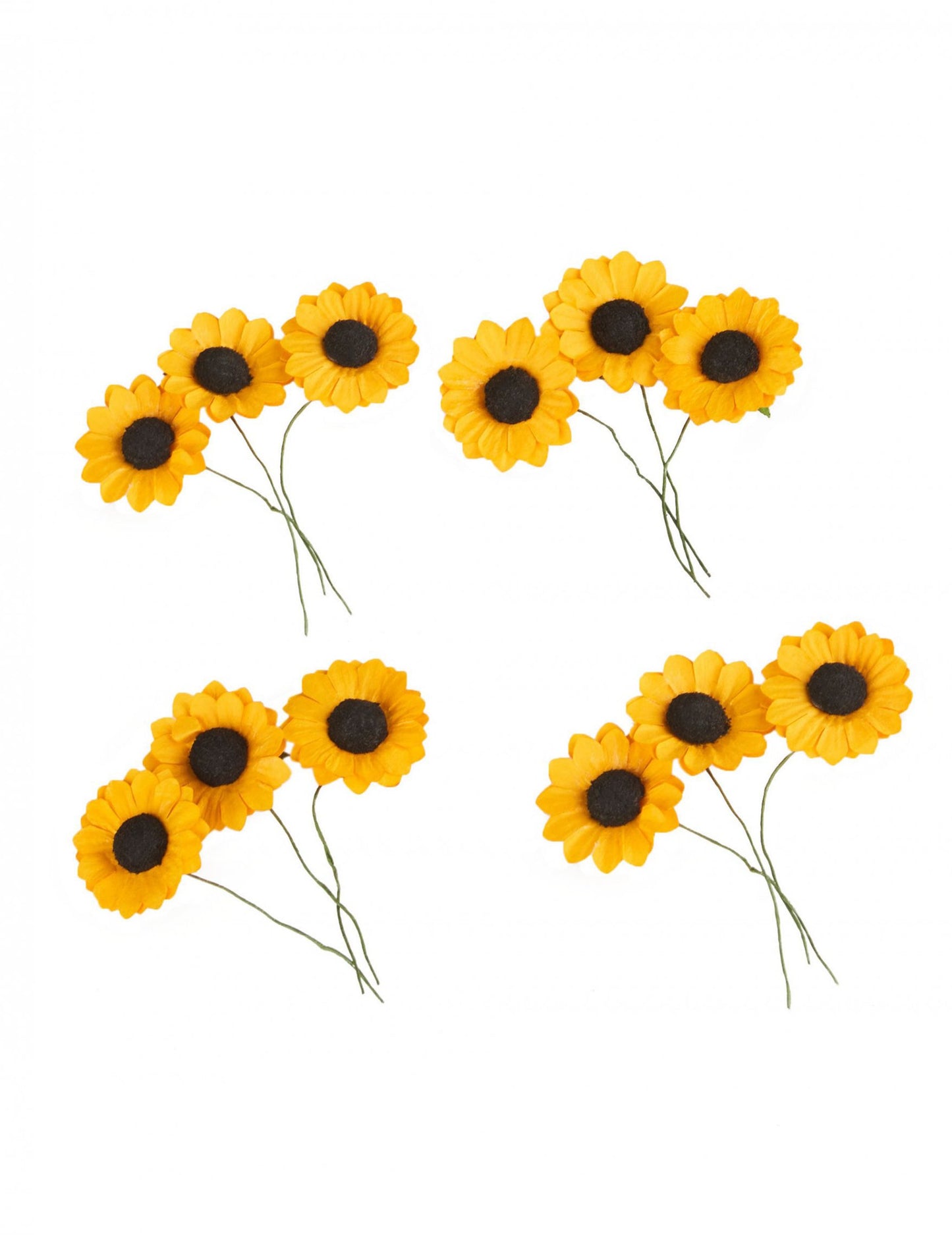 12 žlutých lučních květin 2,5 cm typu slunečnice 